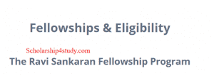 Ravi Sankaran Fellowship 