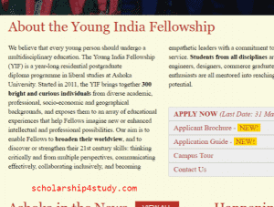 young india fellowship 